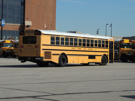Transportation/Bus
