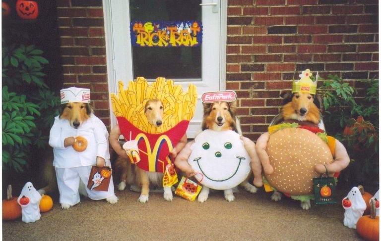 Howl-A-Ween, Oct. 22 at the Bark Park (Swinford)